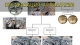 Алексей Борзенков. Артиллерия для чайников. Часть 2 Организация артиллерии