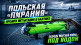 Подводная война начинается: зачем Польша испытывает беспилотную «Пиранию» в Балтийском море