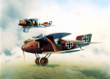 Летающие киты кайзера. Самолеты-разведчики LFG Roland C.II Walfisch. Германия. Часть 1
