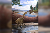 Удивительный триас. Древнейший африканский динозавр-завроподоморф Mbiresaurus raathi